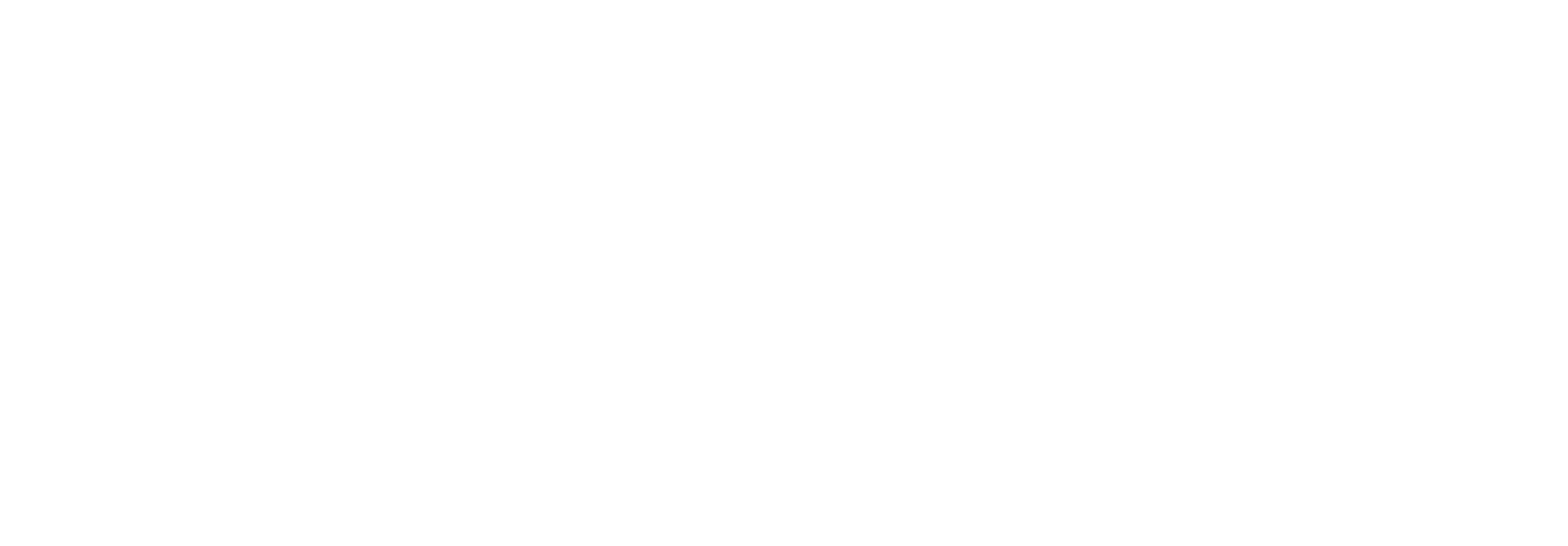 Saheel Plus logo